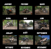 Calendrier Wilks Automotive Media - La version 2023 est là 